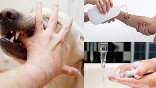 KHUYẾN CÁO PHÒNG CHỐNG BỆNH DẠI