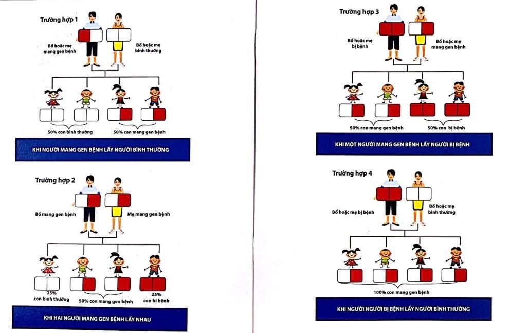 F:\VAN BAN DAN SO\Tan máu bẩm sinh (Thalassemia)\ảnh chuẩn 2.jpg